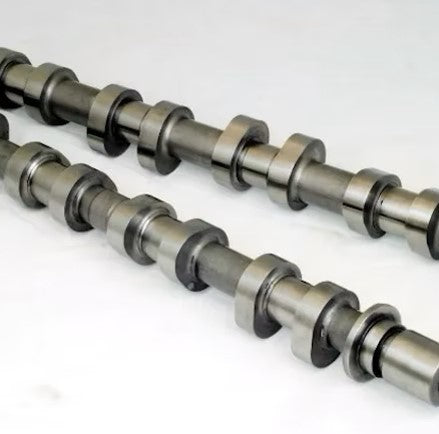 ALBERO A CAMME image 0