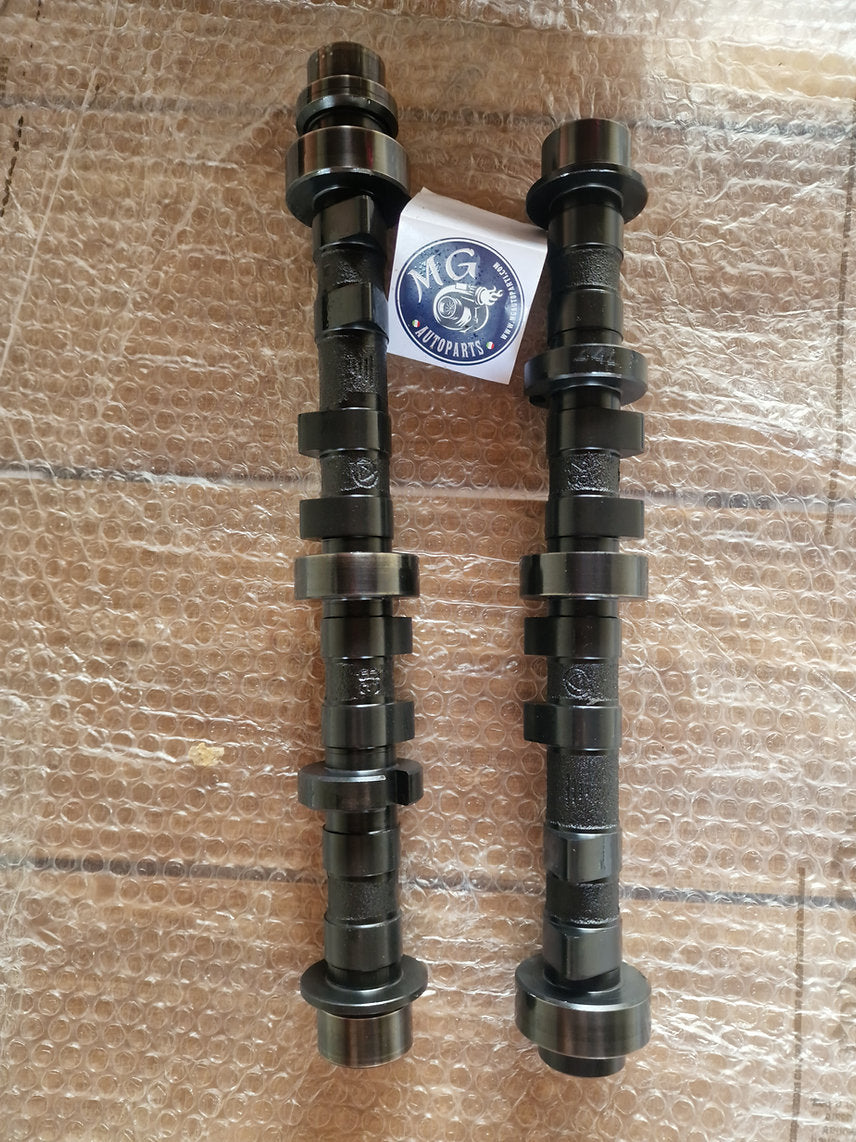 Alberi a Camme Riprofilati